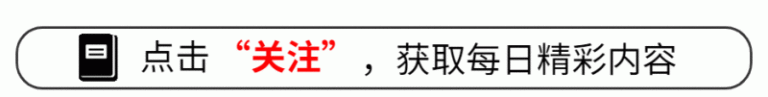 外汇xm平台代理武夷山政府公园发现3个大型真菌新物种